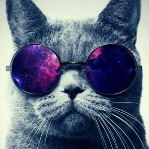 Meet your Posher, Darcinea